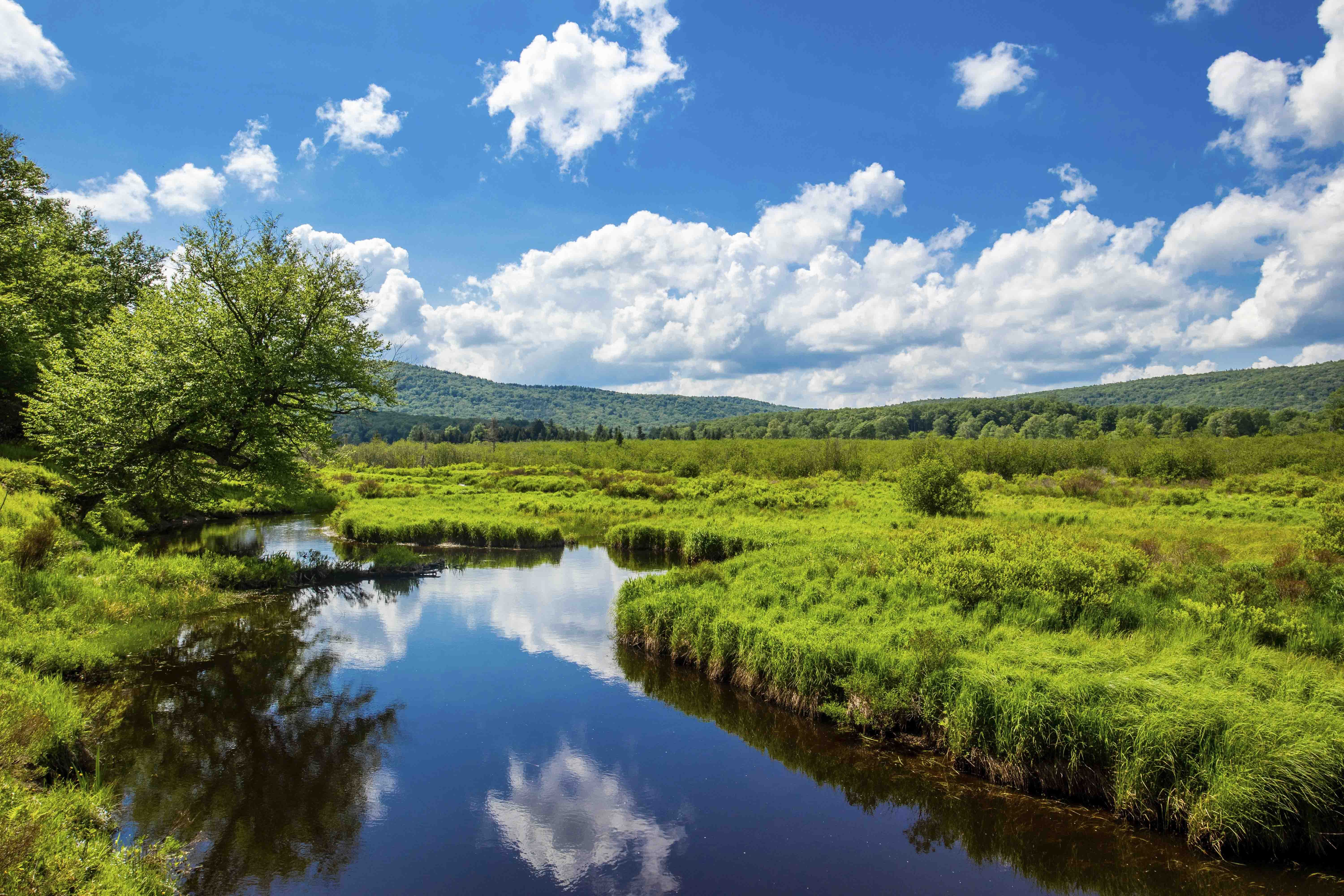 Canaan Valley Resort State Park logo